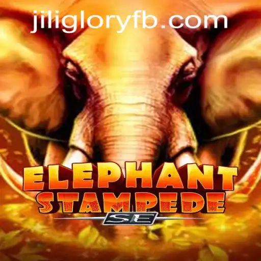 ​JILIGLORY.COM User Agreement